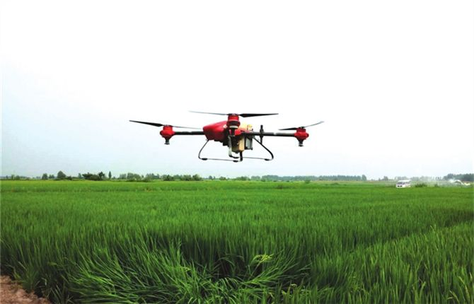 种了2000亩地，想用无人机直播水稻可以吗